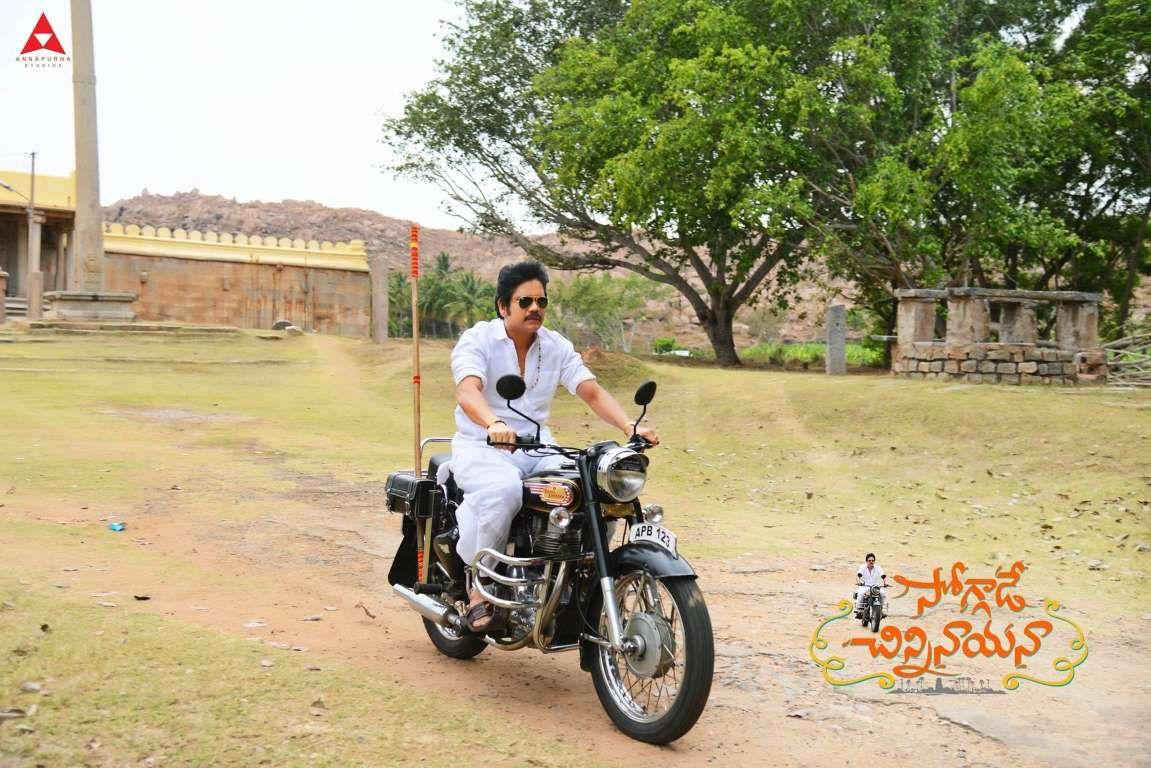 King nagarjuna Stills In Soggade Chinni Nayana
