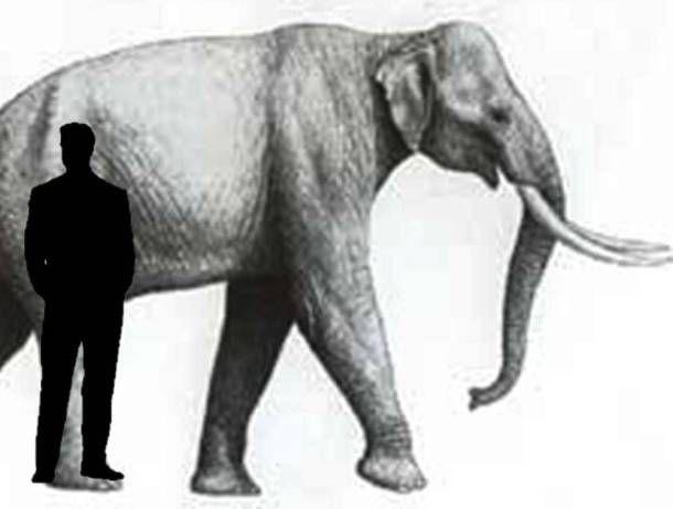 a sample image