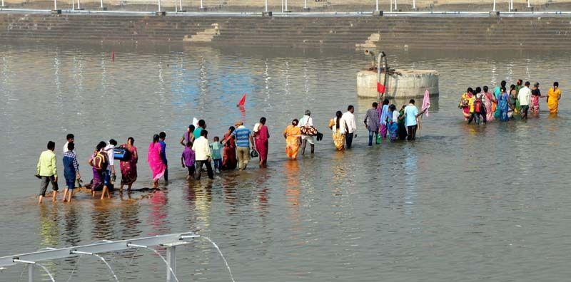 Medaram Jatara 2016 Photos