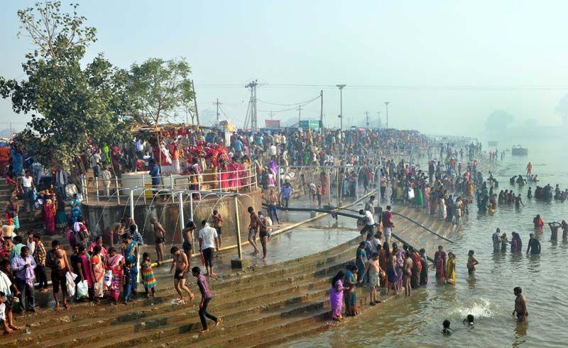 Medaram Jatara 2016 Photos