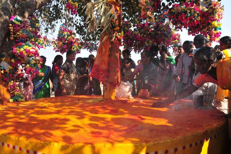 Medaram Jatara 2016 Photos