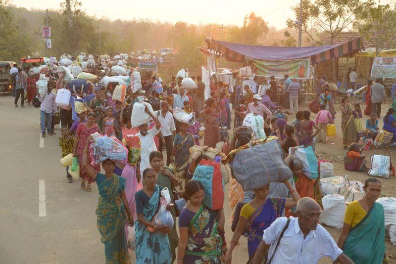 Medaram Jatara 2016 Photos