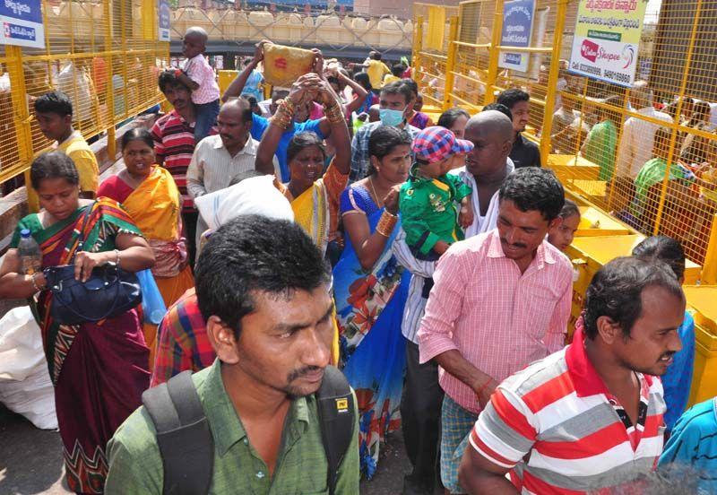 Medaram Jatara 2016 Photos