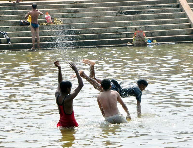 Medaram Jatara 2016 Photos