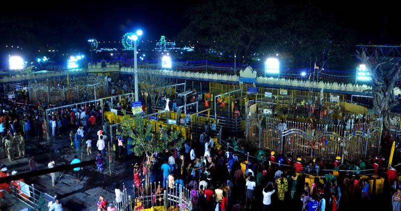 Medaram Jatara 2016 Photos