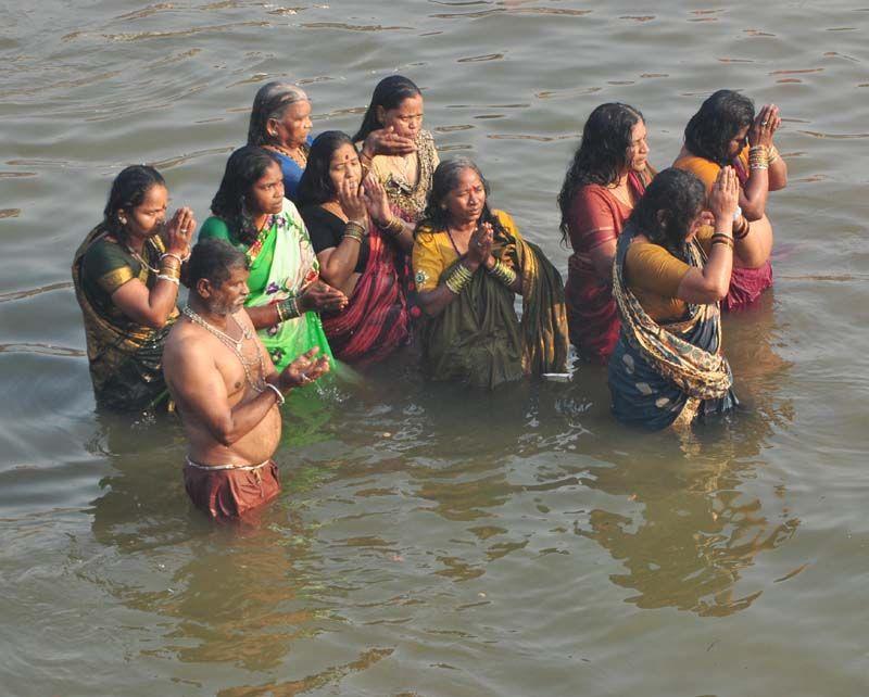 Medaram Jatara 2016 Photos