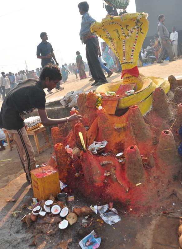 Medaram Jatara 2016 Photos