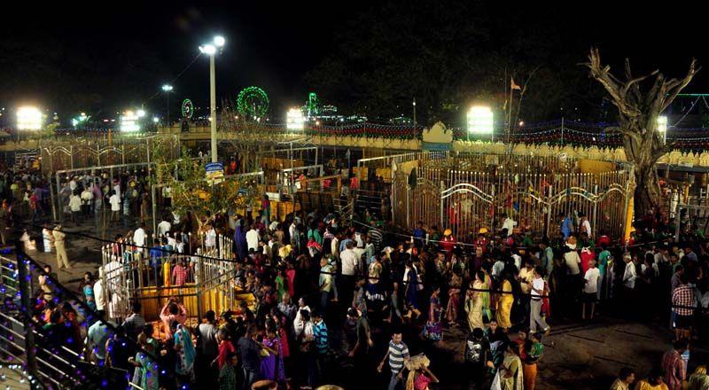 Medaram Jatara 2016 Photos