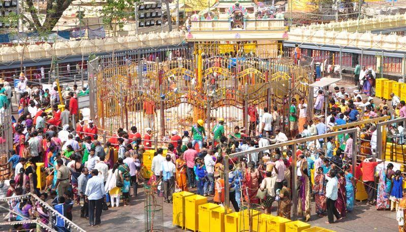 Medaram Jatara 2016 Photos