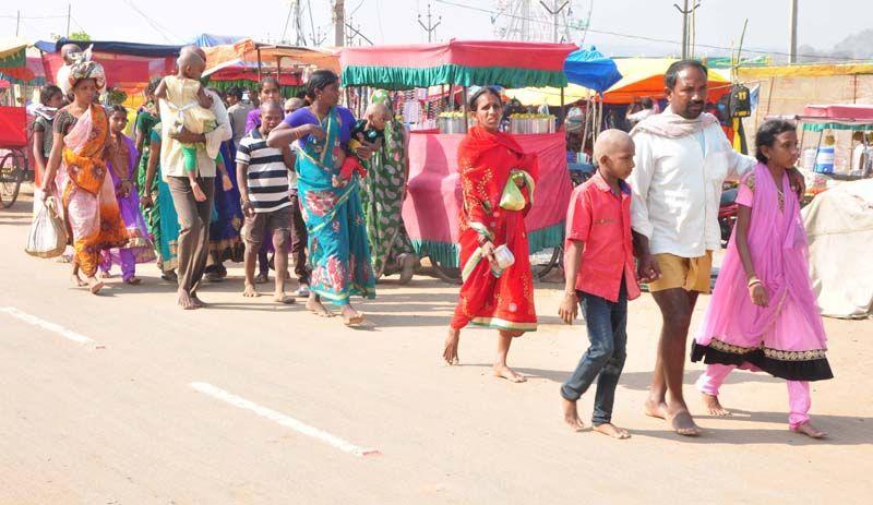 Medaram Jatara 2016 Photos