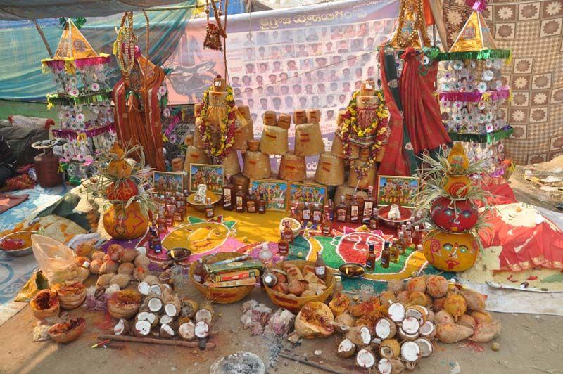 Medaram Jatara 2016 Pics