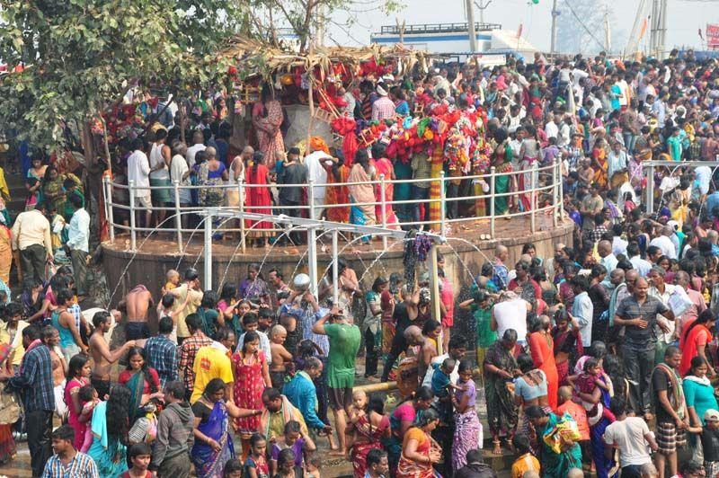 Medaram Jatara 2016 Pics