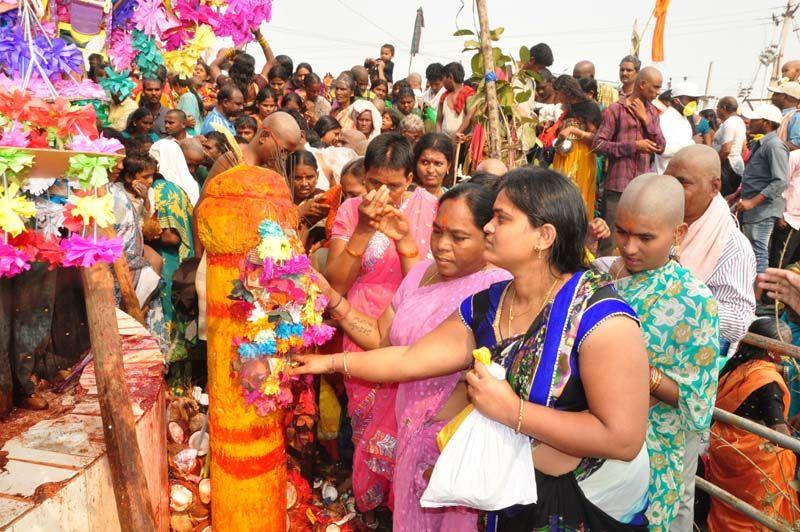 Medaram Jatara 2016 Pics