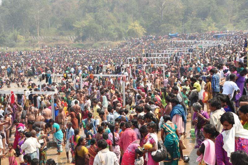 Medaram Jatara 2016 Pics