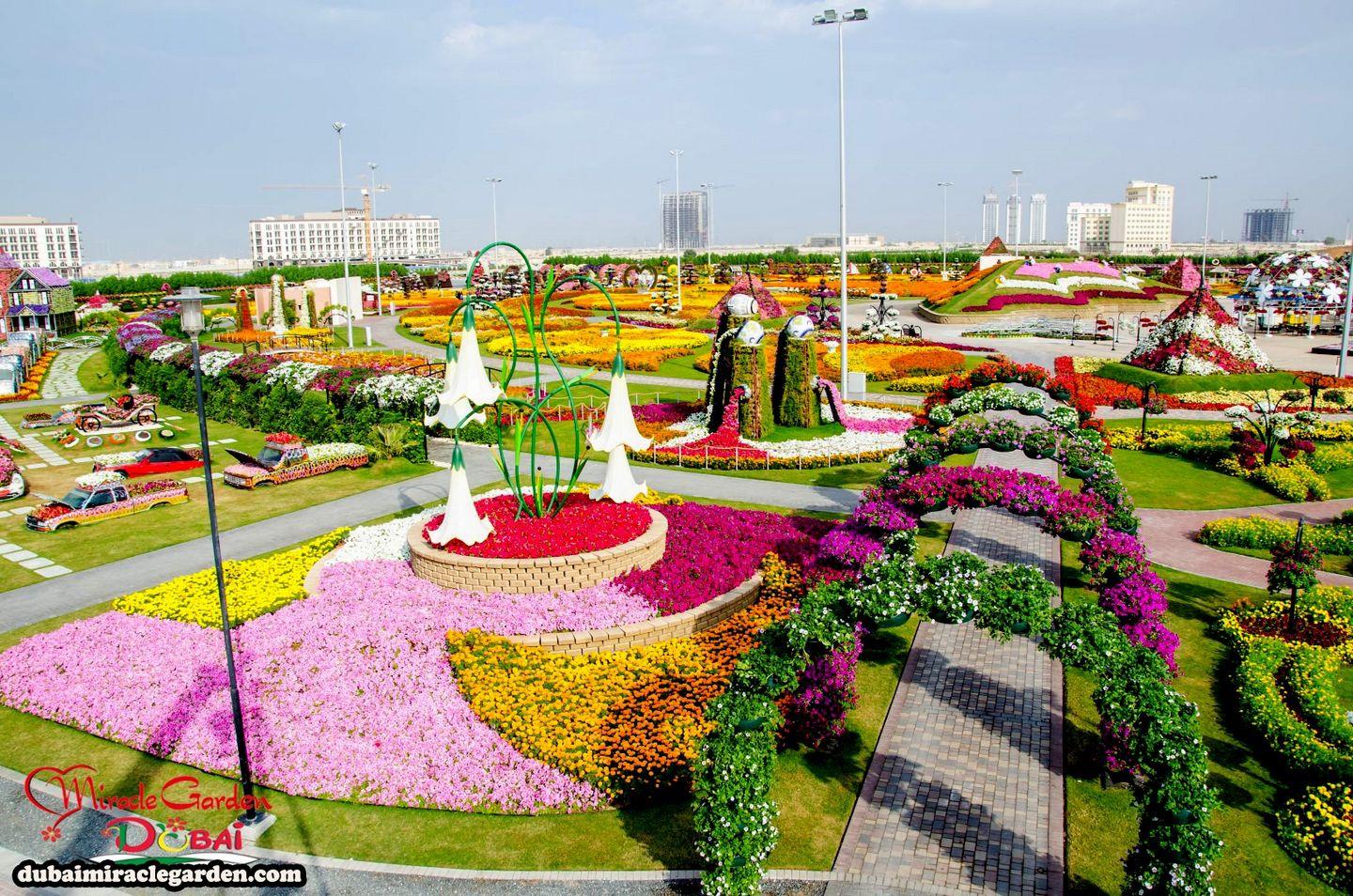 Miracle Flower Garden