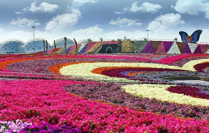 Miracle Flower Garden