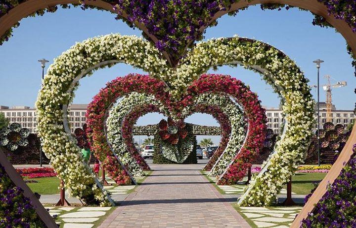 Miracle Flower Garden