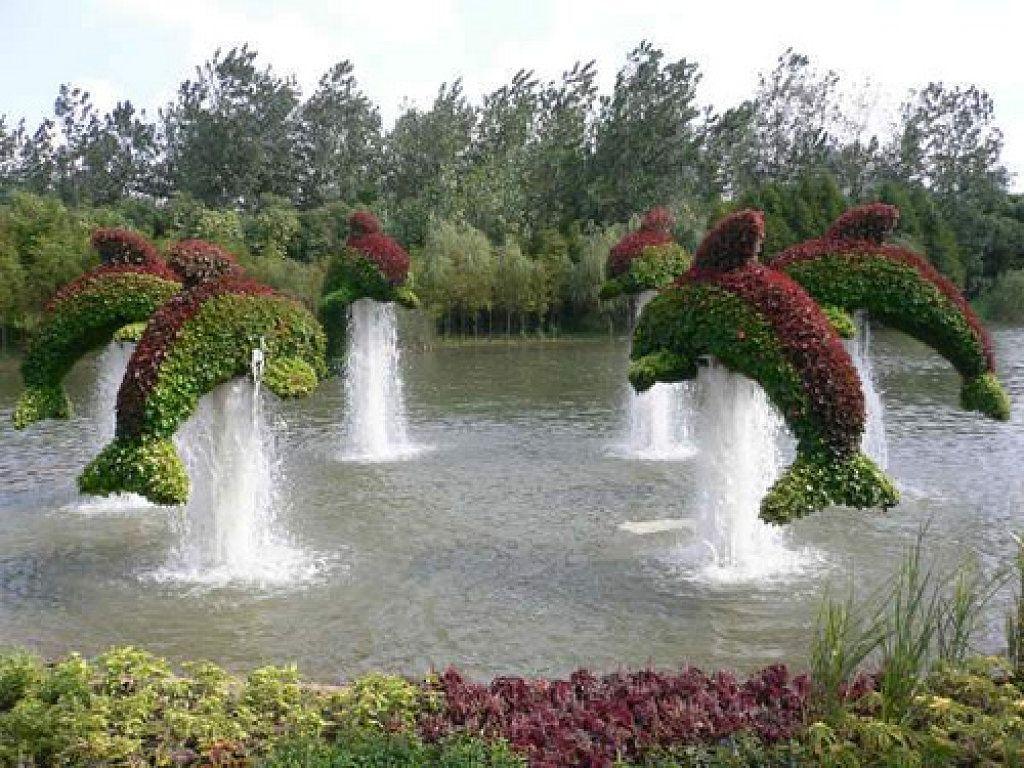 Miracle Flower Garden