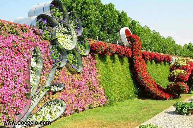 Miracle Flower Garden