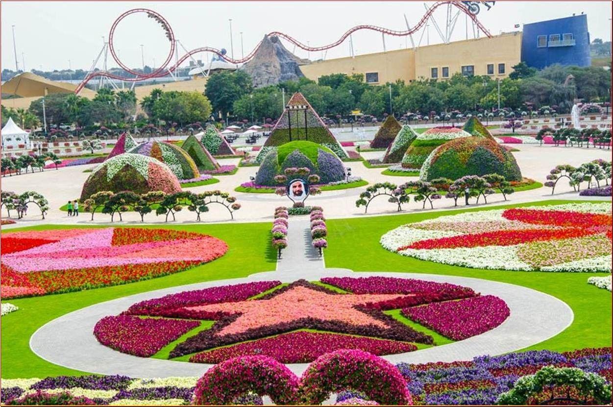 Miracle Flower Garden