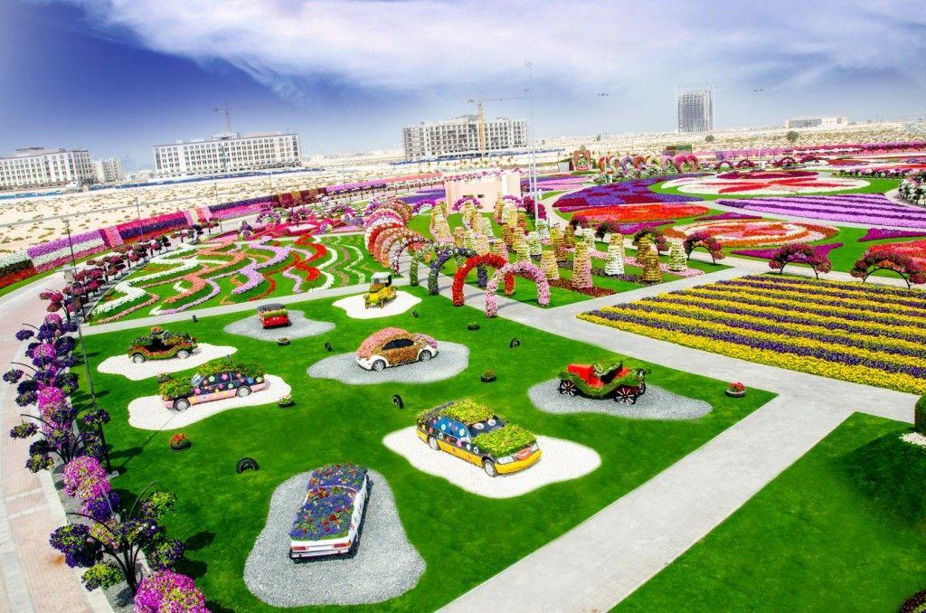 Miracle Flower Garden