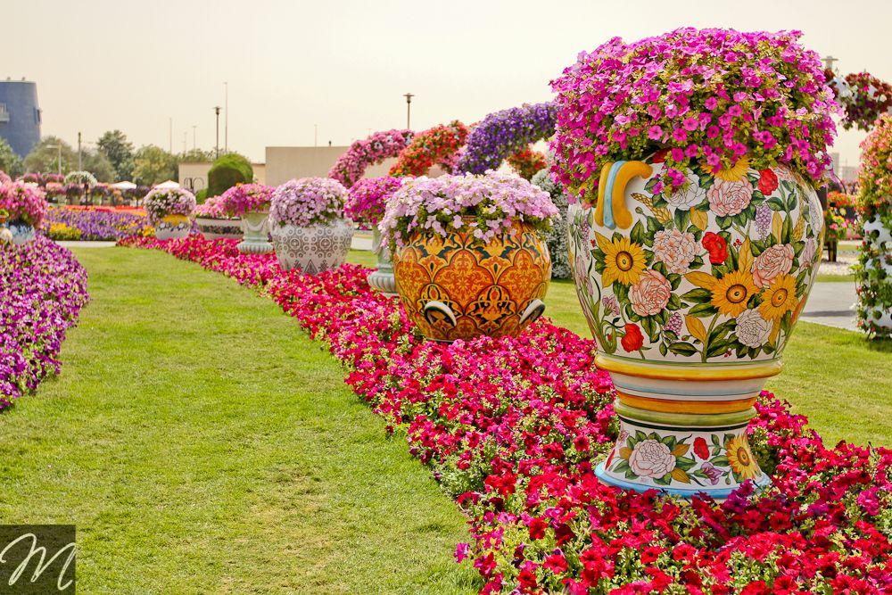 Miracle Flower Garden