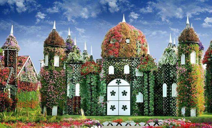 Miracle Flower Garden