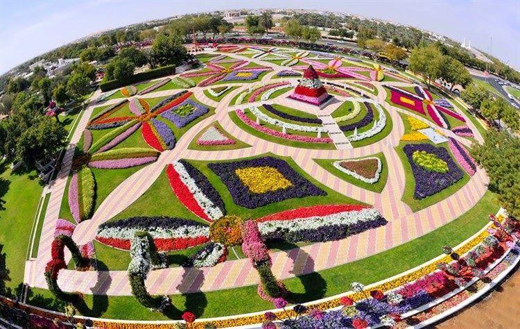 Miracle Flower Garden