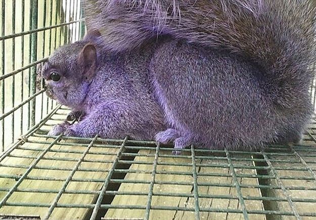 Most Unbelievable Real Pictures