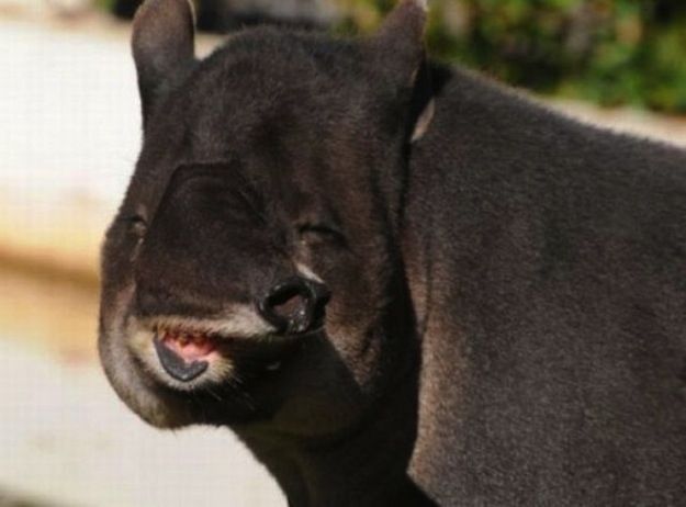 Most Unbelievable Real Pictures