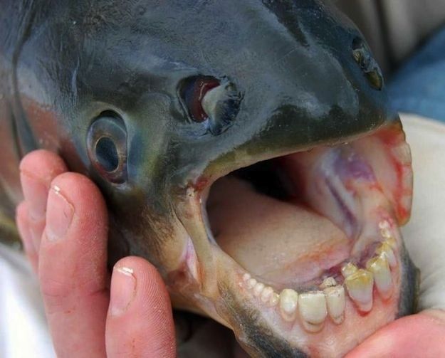 Most Unbelievable Real Pictures