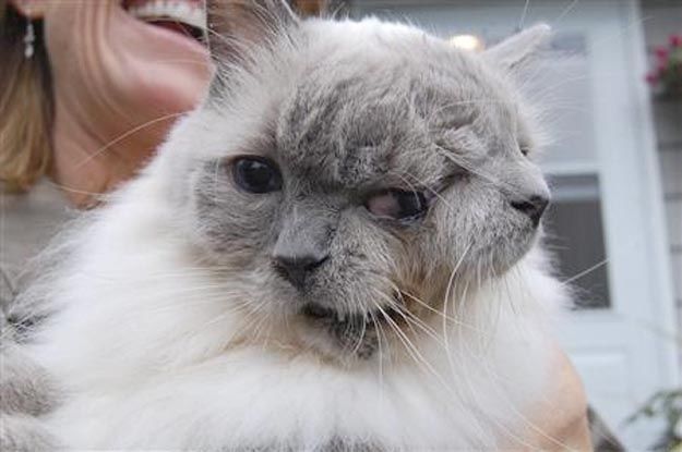 Most Unbelievable Real Pictures