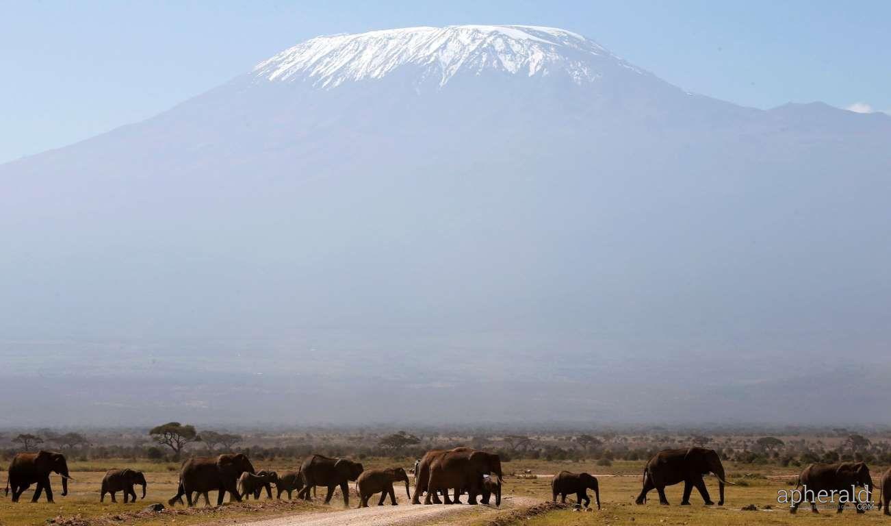 Most Wonderful Photos In The World