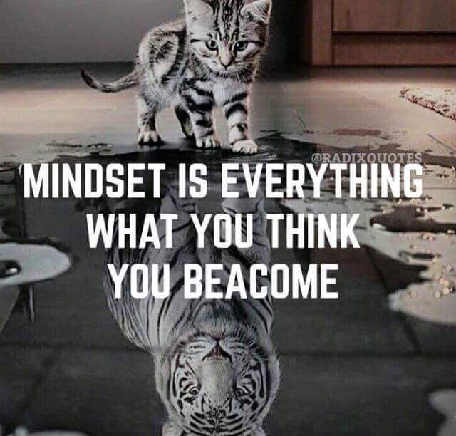 Motivitational Quotes of the Day