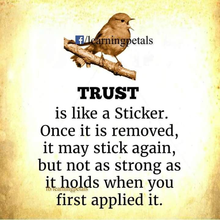 Motivitational Quotes of the Day