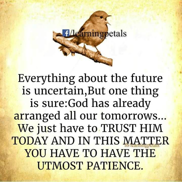 Motivitational Quotes of the Day