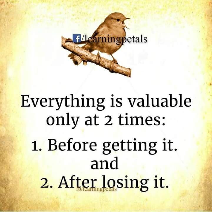 Motivitational Quotes of the Day