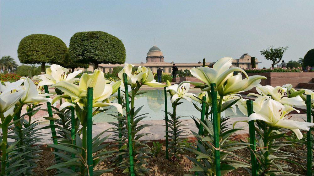 Mughal Garden Photos In Rashtrapati Bhavan