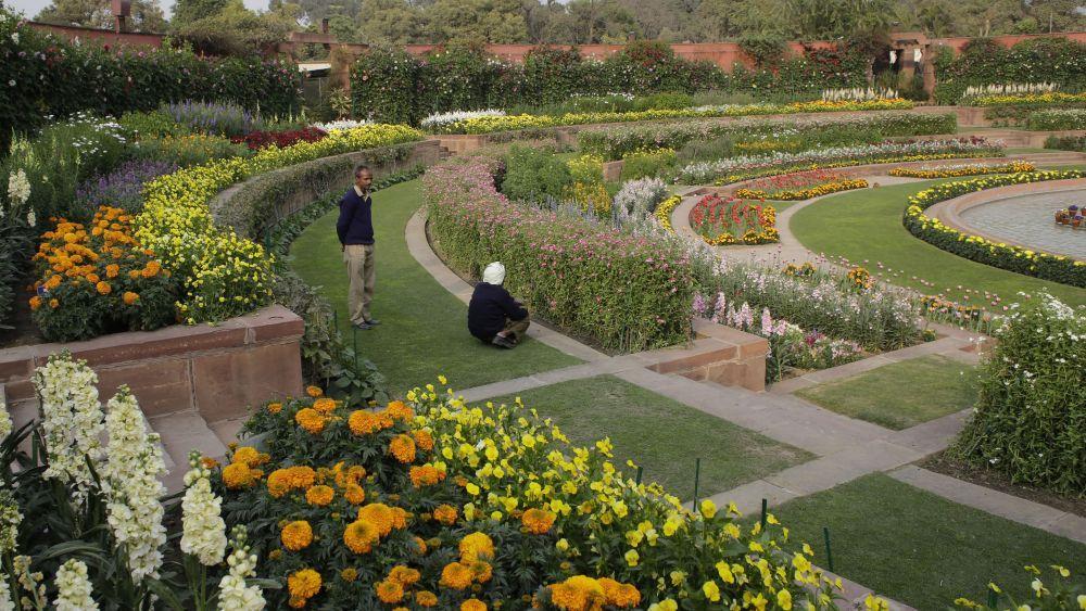 Mughal Garden Photos In Rashtrapati Bhavan