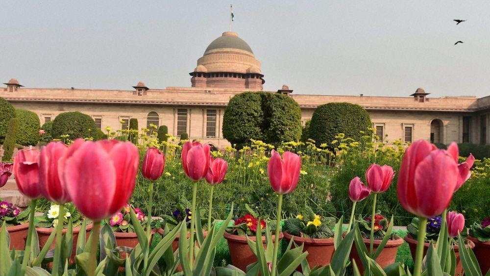 Mughal Garden Photos In Rashtrapati Bhavan