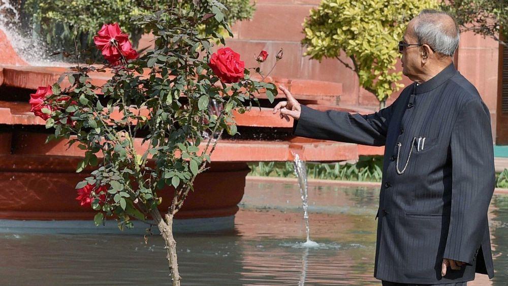 Mughal Garden Photos In Rashtrapati Bhavan