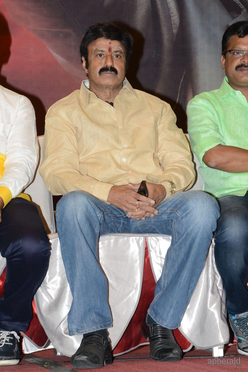 NBK Lion Success Meet Photos