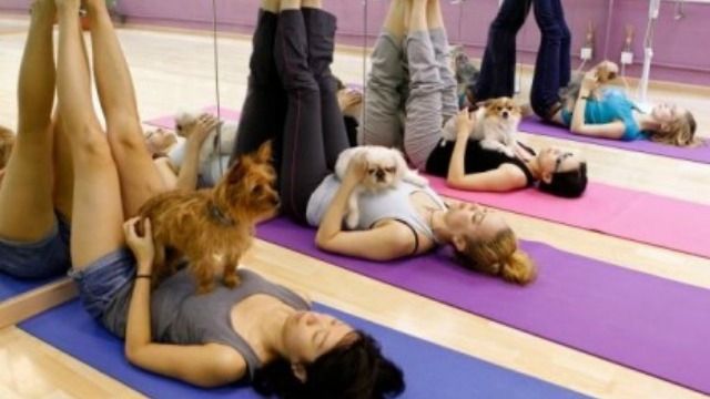Nine yoga types with a twist rare Pics