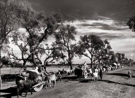 OMG See These Rare Pictures of India-Pakistan During Partition 1947