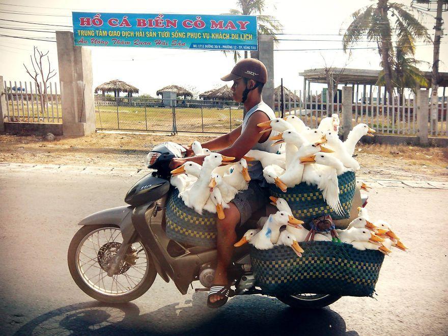 Overloaded Vehicles from Around the World