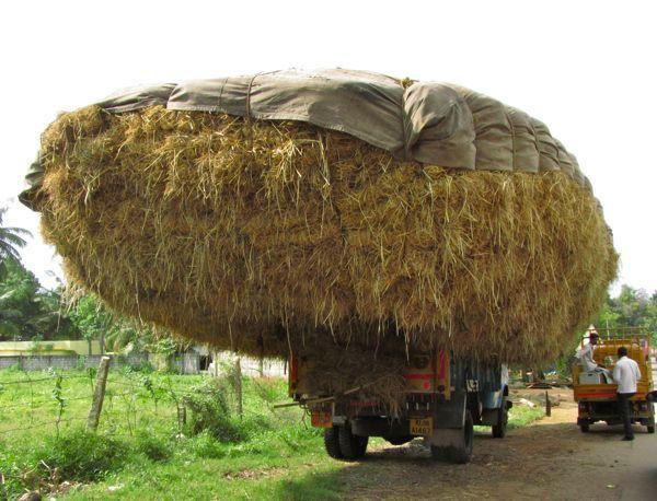 Overloaded Vehicles from Around the World