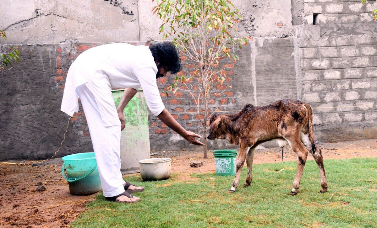 Pawan Kalyan Latest Unseen Stills