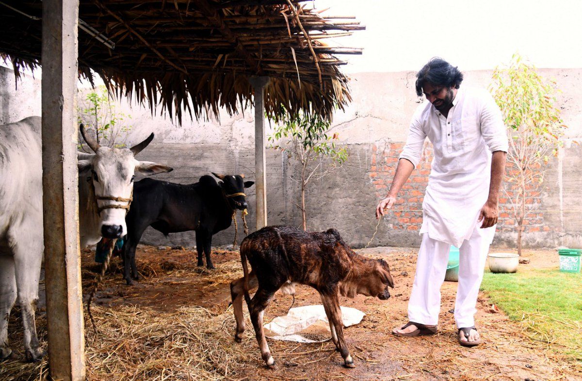 Pawan Kalyan Latest Unseen Stills