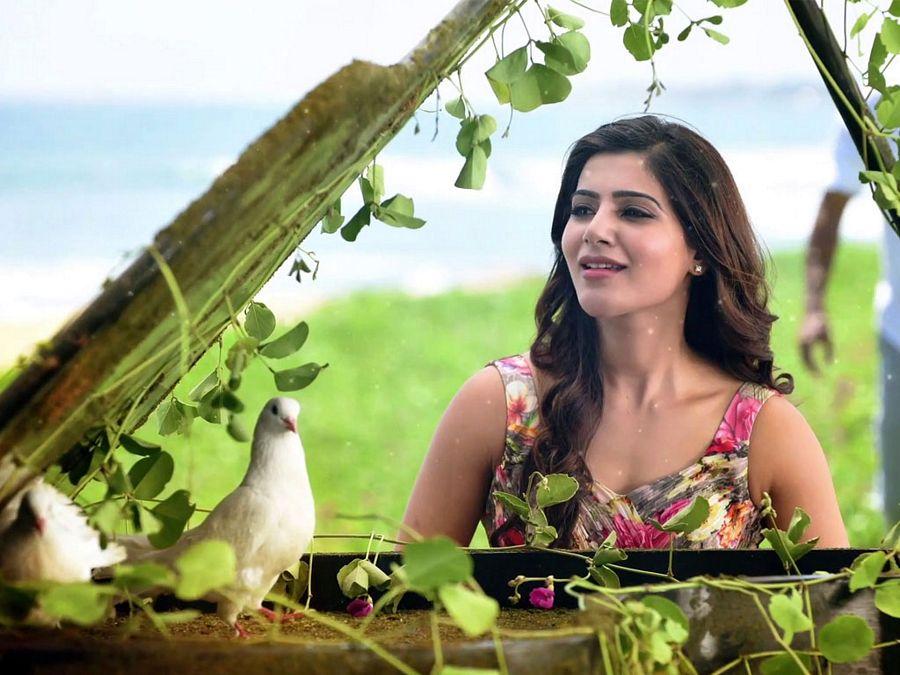 Perfect Pictures! Samantha Ruth Prabhu's exclusive photos