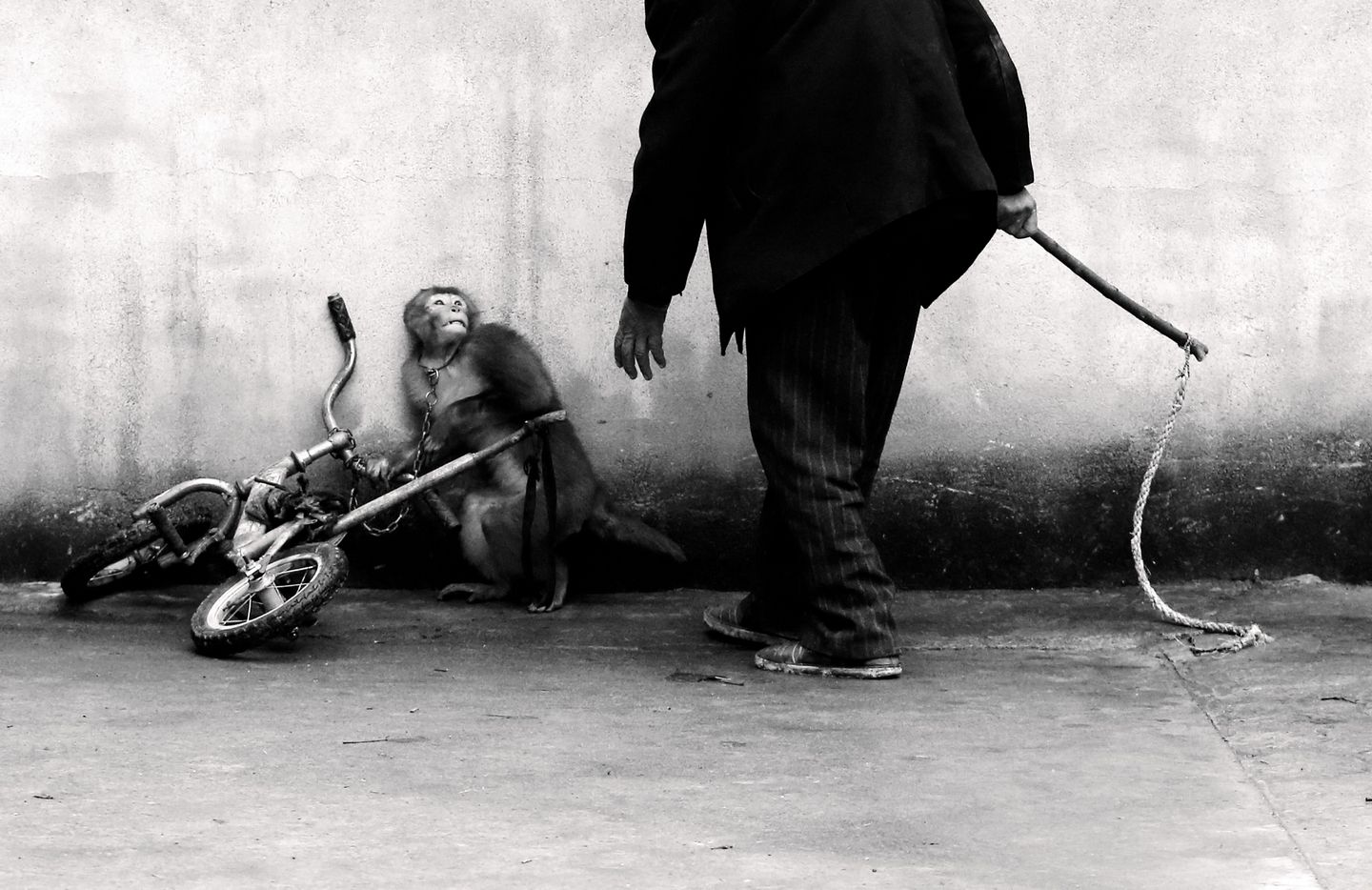 Photos of the Year 18 stunning award winning